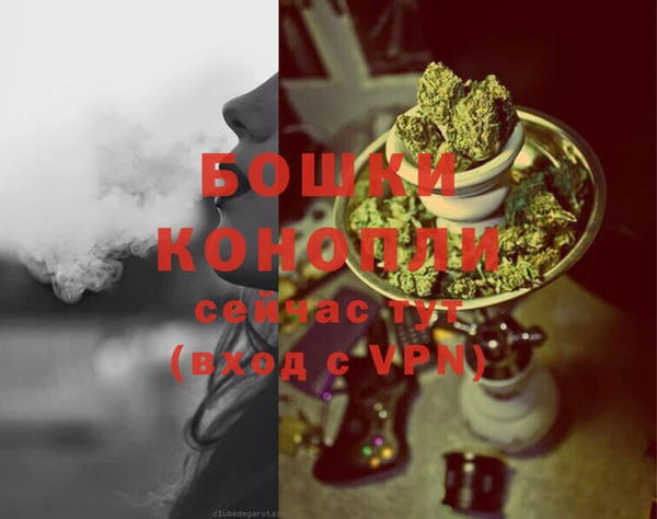 PSILOCYBIN Баксан